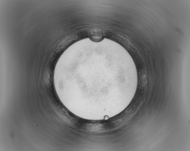 X0000111390266200908071302