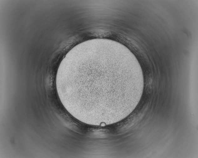 X0000111390268200908071302