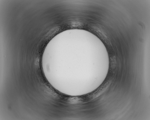X0000111390269200908071302