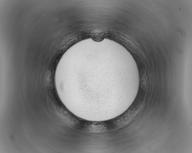 X0000111390270200908071302
