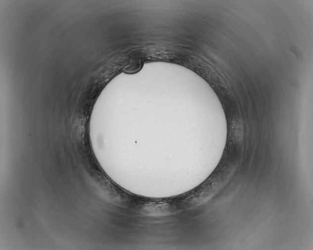 X0000111390271200908071302