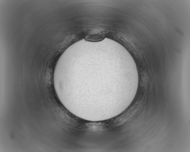 X0000111390273200908071302