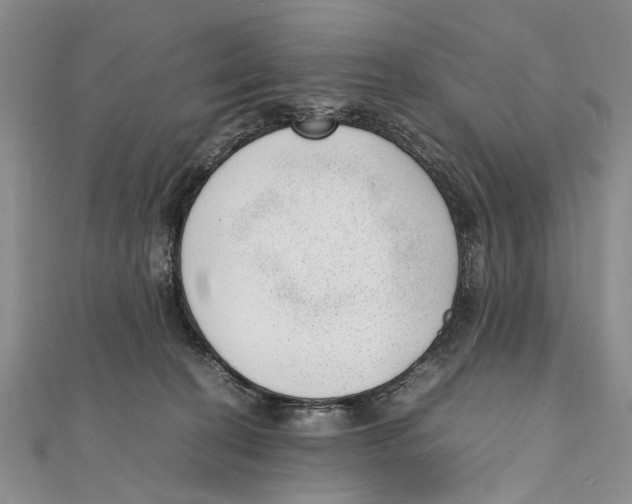 X0000111390274200908071302