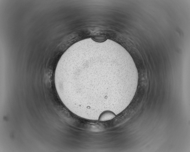X0000111390275200908071302