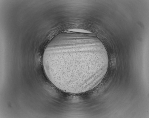 X0000111390276200908071302