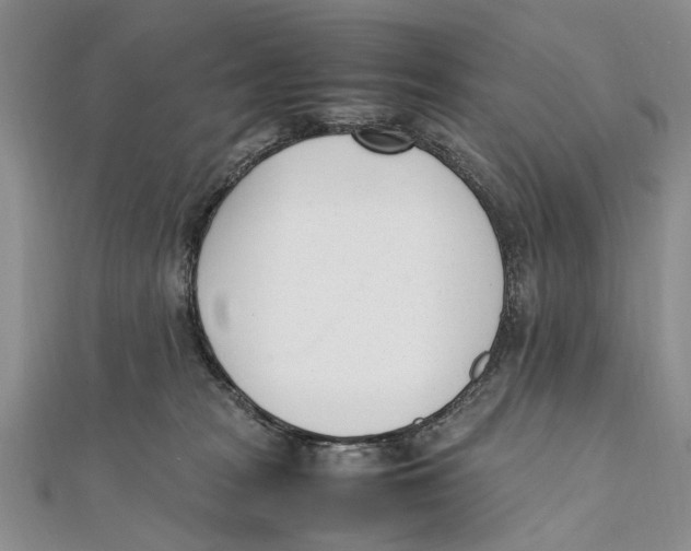 X0000111390277200908071302