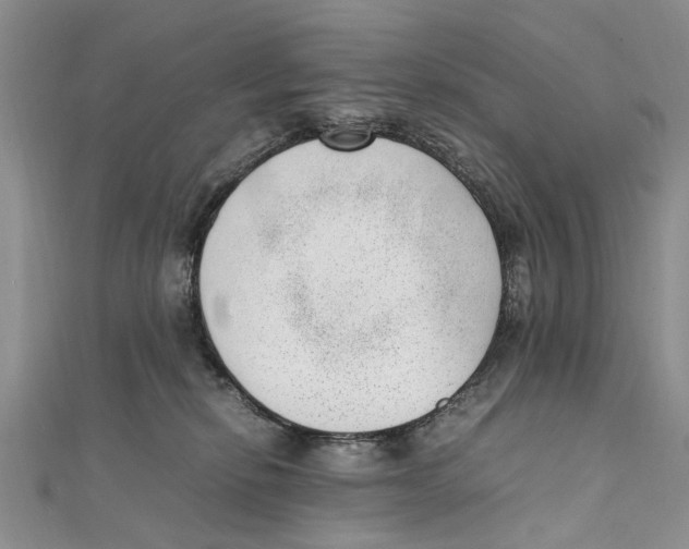 X0000111390278200908071302