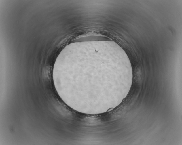 X0000111390280200908071302