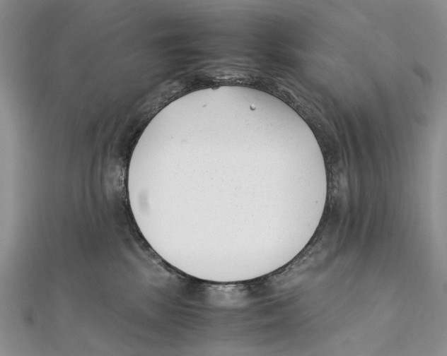 X0000111390281200908071302