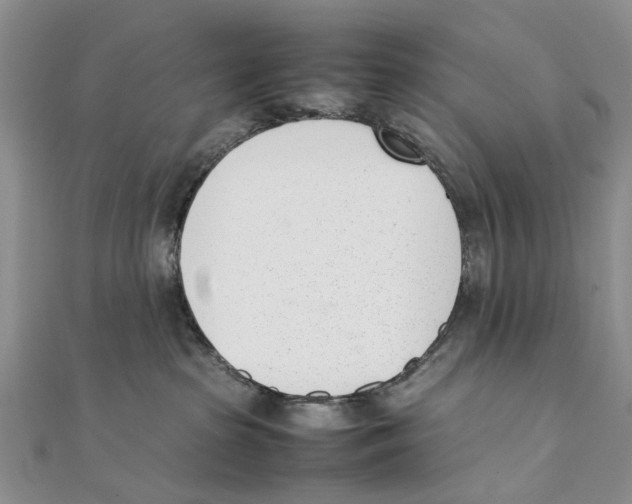 X0000111390285200908071302