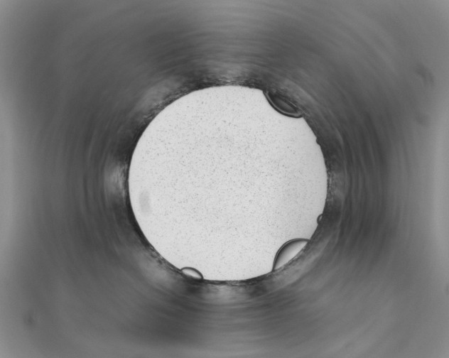 X0000111390286200908071302