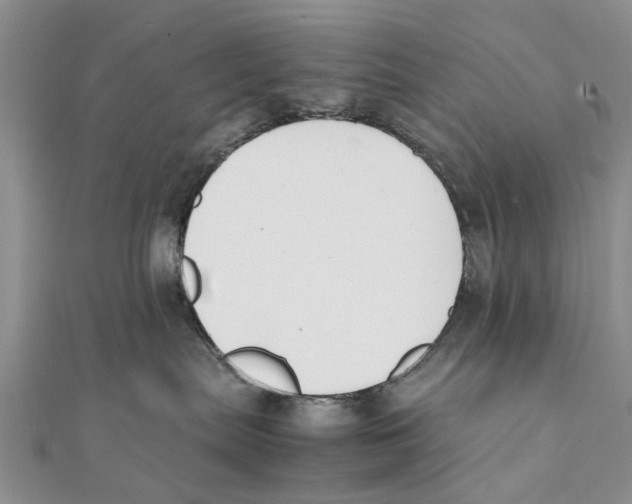 X0000111390287200908071302