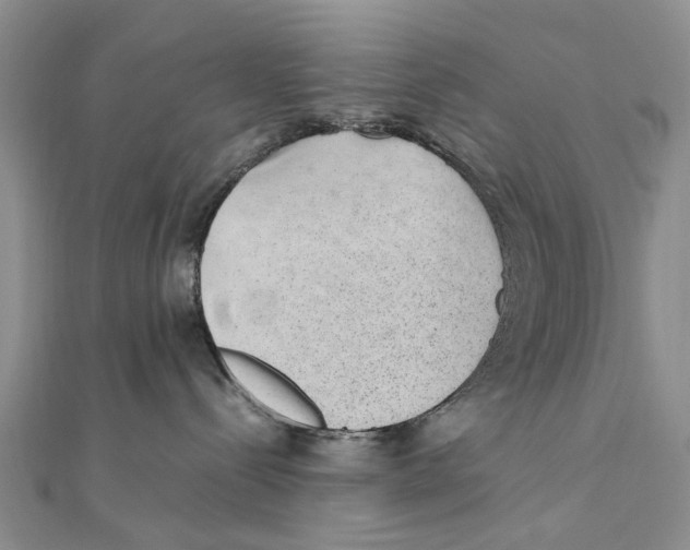 X0000111390288200908071302