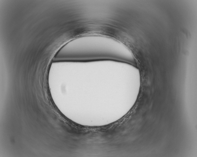 X0000111390289200908071301