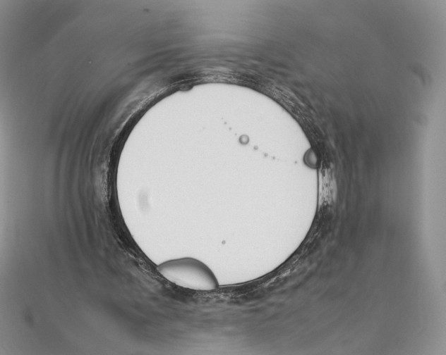 X0000111390291200908071301