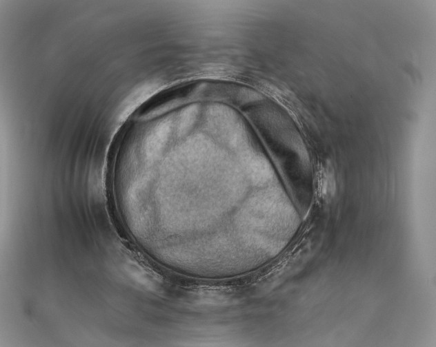 X0000111390292200908071301