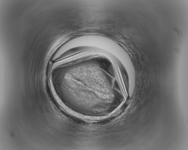 X0000111390293200908071301