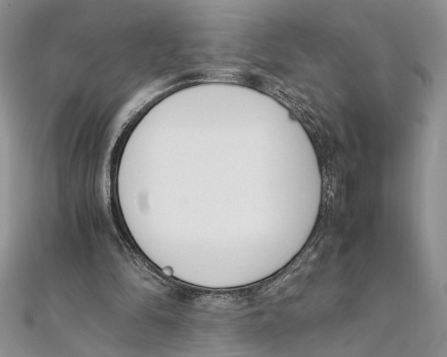 X0000111390294200908071301