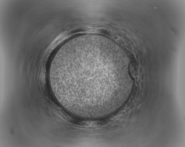X0000111390295200908071301