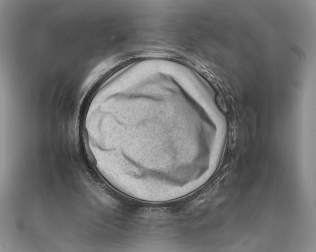 X0000111390296200908071301