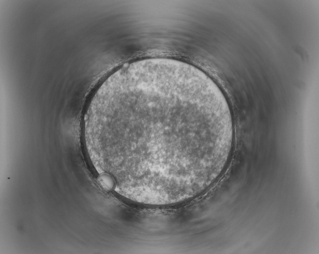 X0000111390297200908071301