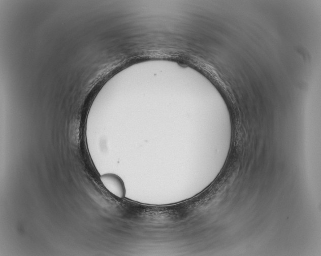 X0000111390299200908071301