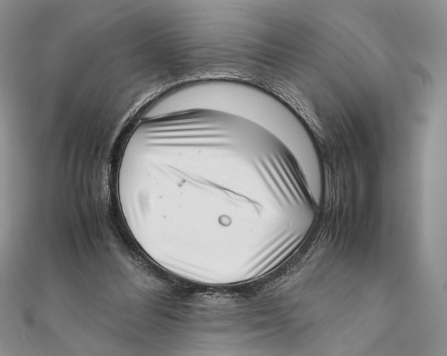 X0000111390300200908071301