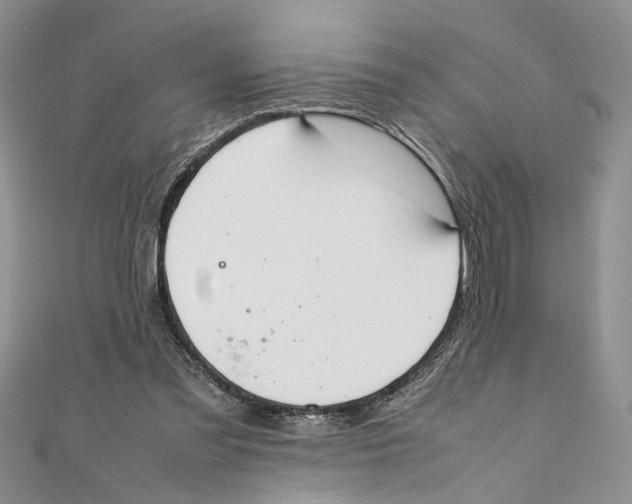 X0000111390301200908071301