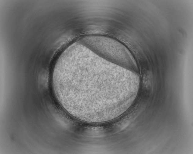 X0000111390304200908071301