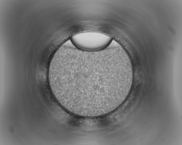 X0000111390305200908071301
