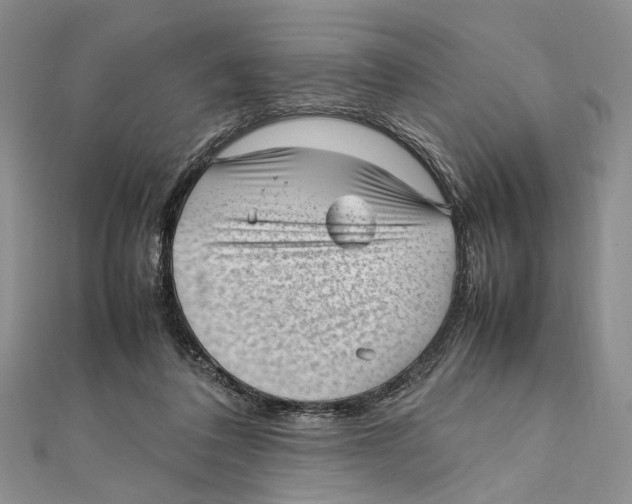 X0000111390308200908071301
