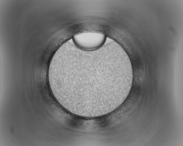 X0000111390309200908071301