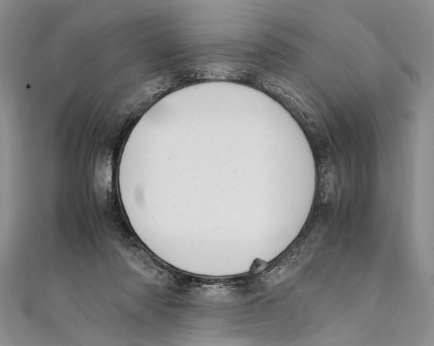 X0000111390310200908071301