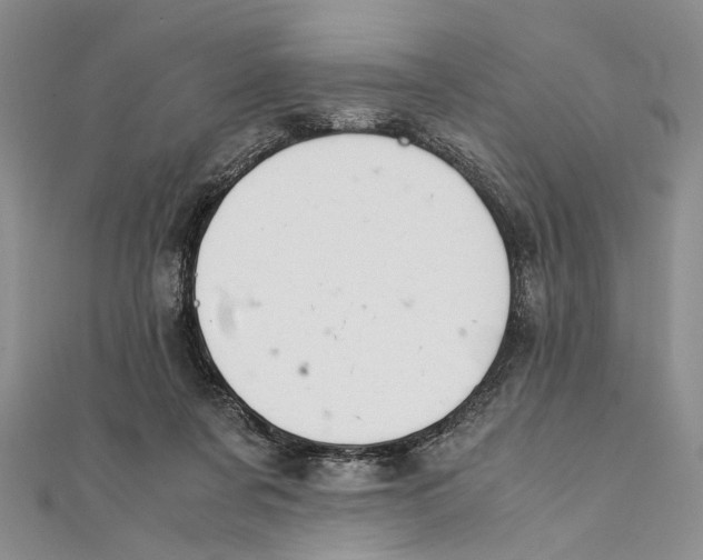 X0000111390311200908071301