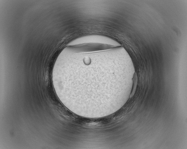 X0000111390312200908071301