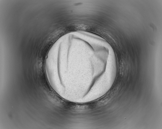 X0000111390314200908071301