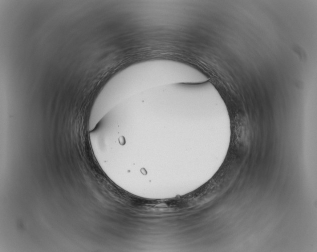 X0000111390316200908071301