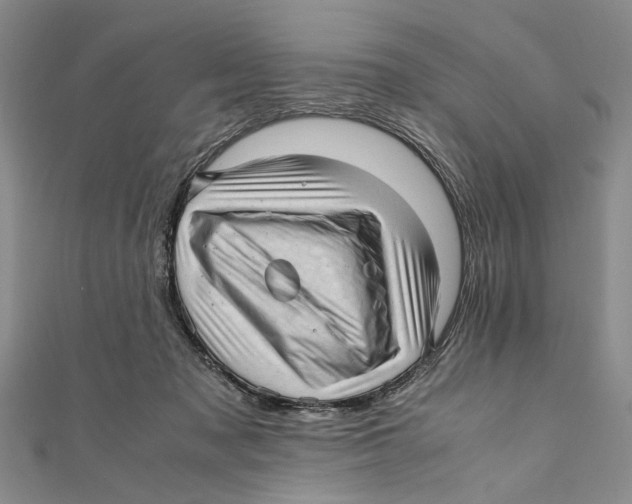 X0000111390317200908071301