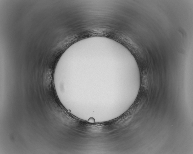 X0000111390318200908071301