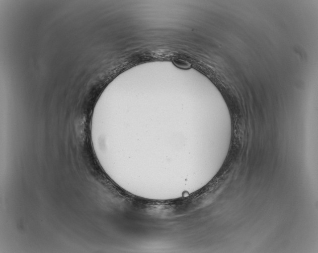 X0000111390319200908071301
