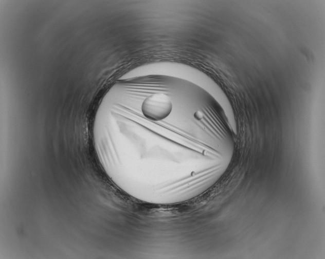 X0000111390320200908071301