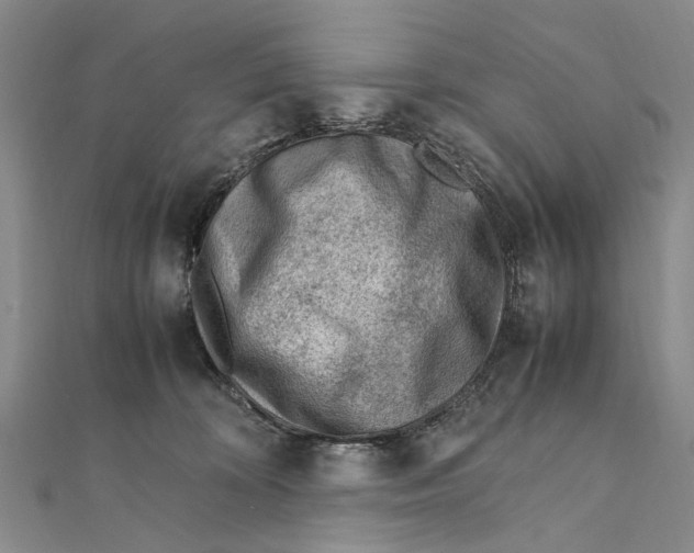 X0000111390324200908071301