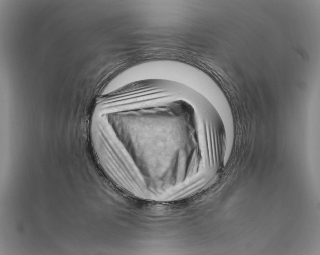 X0000111390325200908071301