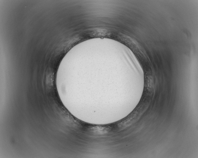 X0000111390326200908071301