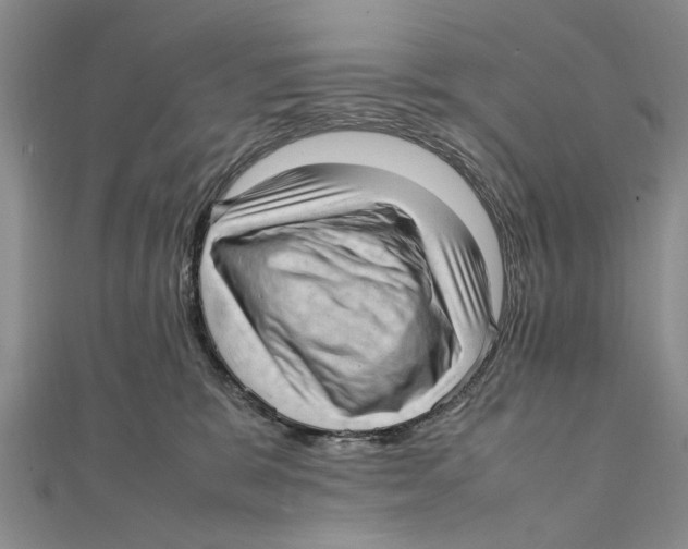 X0000111390327200908071301