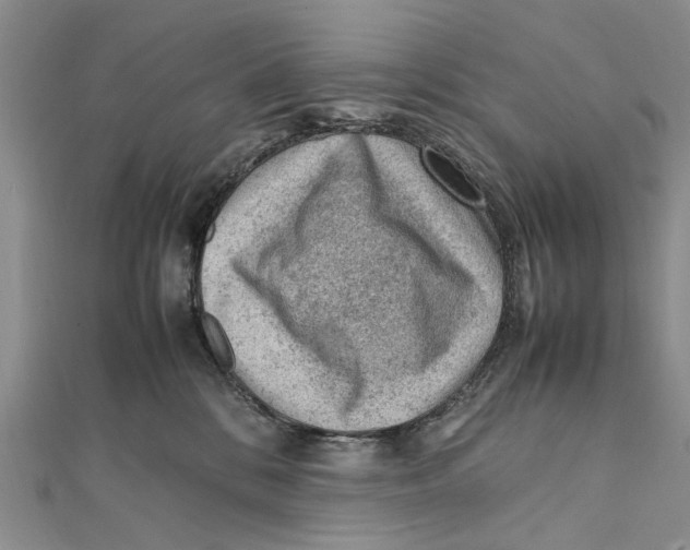 X0000111390328200908071301