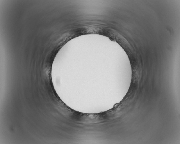 X0000111390329200908071301