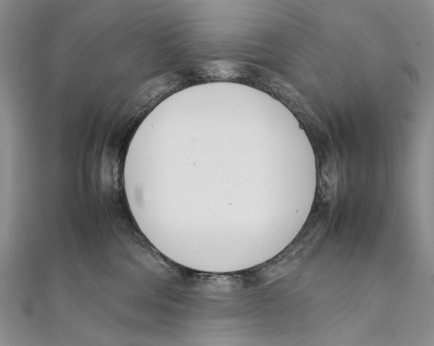 X0000111390330200908071301