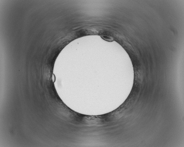 X0000111390331200908071301
