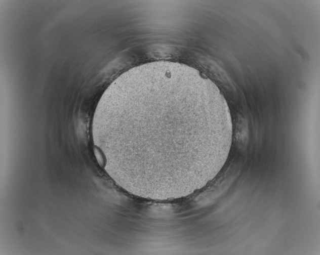 X0000111390332200908071301